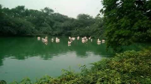 Sohail Ansari  سورة آل عمران آیت 102 103