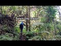 pemula yang tangguh, pendakian gunung pohen, bali#pemula #tangguh #viral