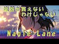 Nagie Lane「楽器が買えないわけじゃない」