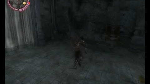 Prince Of Persia Warrior Within  Bug XDDD
