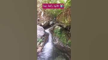 #تلاوة_رائعة #تلاوة_خاشعة #تلاوة_هادئة #تجويد #سعد_الغامدي #الغامدي #تلاوات #الجزائر #السعودية #مصر
