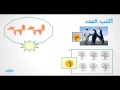  الصفر رياضيات - للصف الأول الإبتدائي