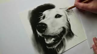 I am excited to share with you my dog portrait, done in charcoal. will
be making a more tutorial styled video the new year. if there is
something you'd ...