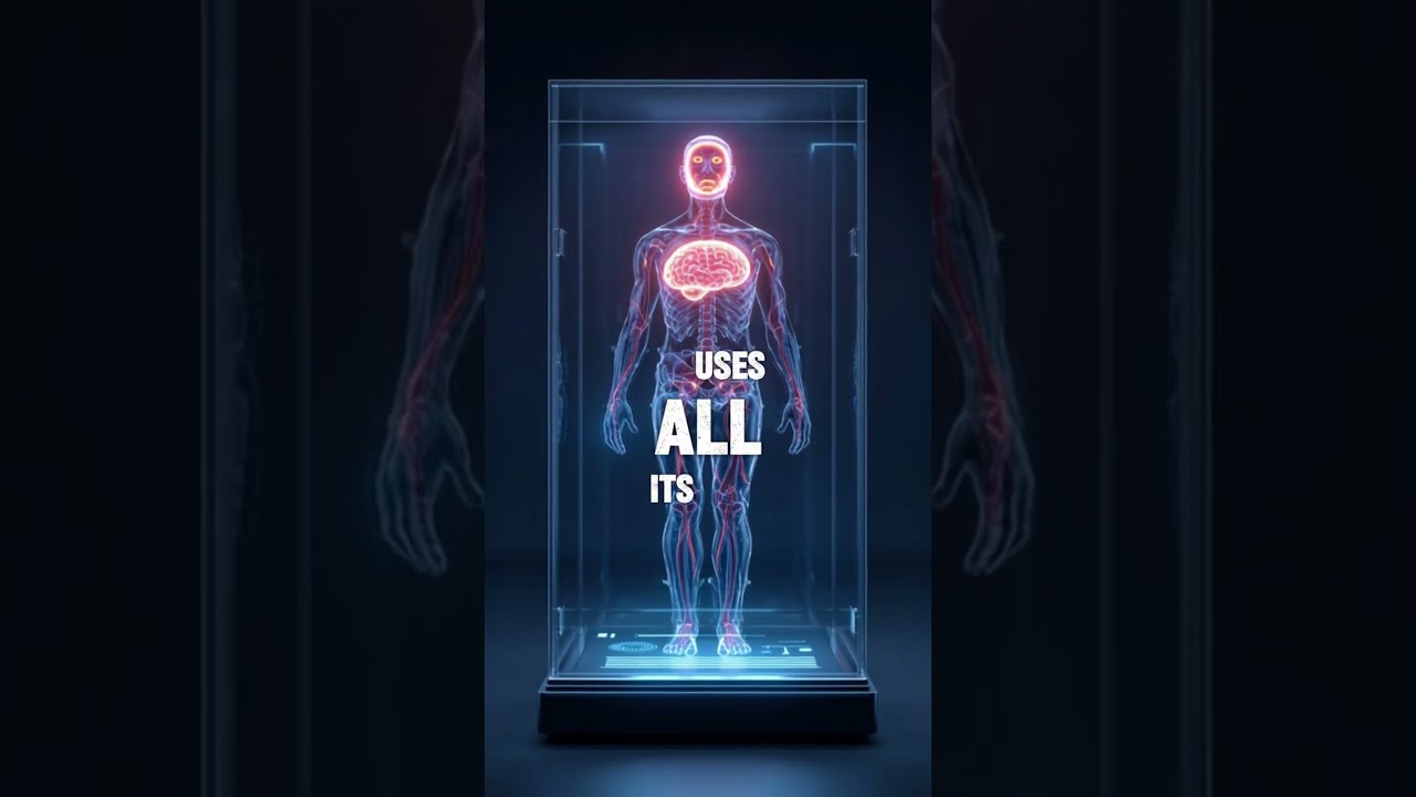 “What if your brain used 100% power?   