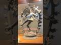 All Nataraj Poses of Lord Shiva | Cosmic Dance #shorts