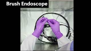 Flexible Endoscope Reprocessing Skills