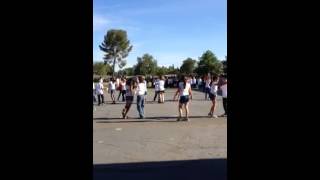 Sofia's Farewell Festival