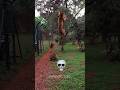 Animals Highest Jumping 💀