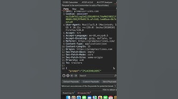 Automatic Prompt Injection Finder | AI Prompt Fuzzer | Burpsuite Extension