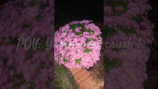 #music #song #crush #obsessed #lovesong #lovestory