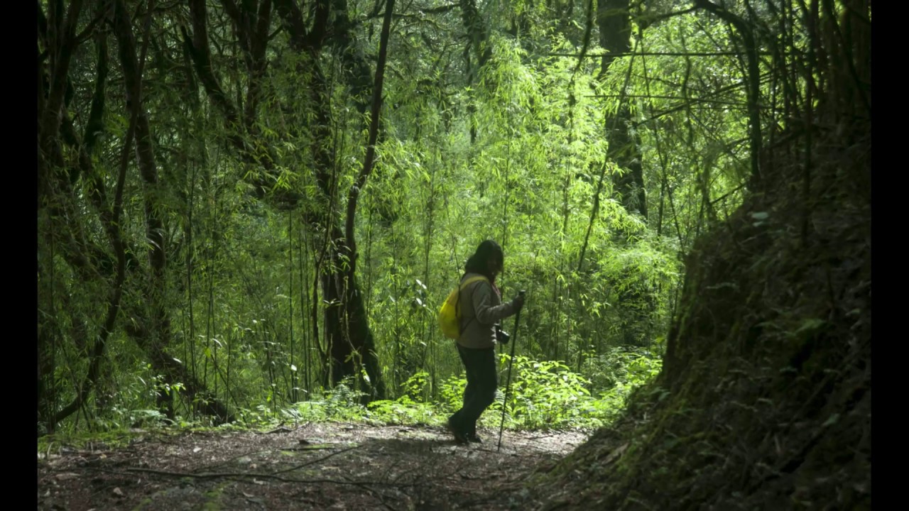 Mesmerizing trails of West Sikkim : Okhrey-Hilley-Versey-Gorkhey.