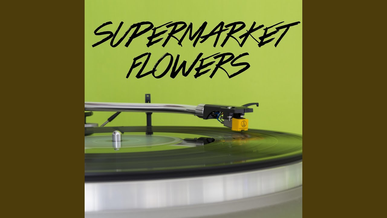 Supermarket Flowers (Originally Performed by Ed Sheeran) (Instrumental
