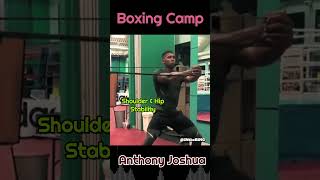Anthony Joshua Core Stability, Strength and Neck training