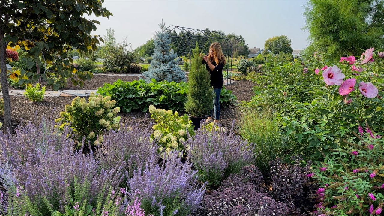 Planting 5 Gorgeous Evergreens (That Stay Small!