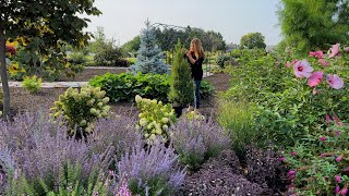 Planting 5 Gorgeous Evergreens (That Stay Small)! 🌲🌿💚 // Garden Answer