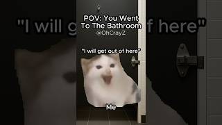 CAT MEMES 🐱 YOU WENT TO THE BATHROOM #relatable #cat #funny #family #shorts