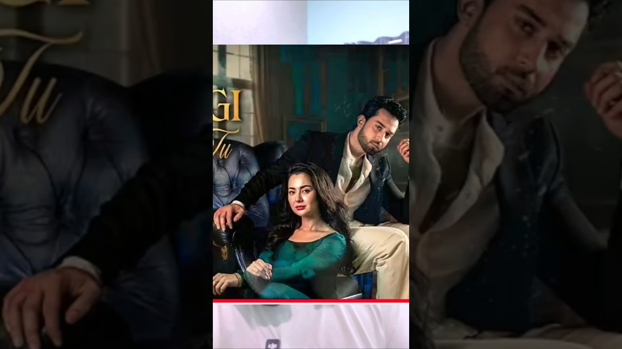 Meri Zindagi Hai Tu | Pakistani Top Drama's | Why Indians Love Pakistani Drama's