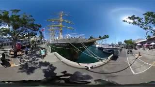 The Tall Ships - Walking along the Alexander von Humboldt II 360 Video