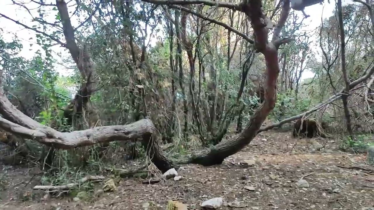 Fours a boulets à l'Ile Ste Marguerite (Iles de Lerins)