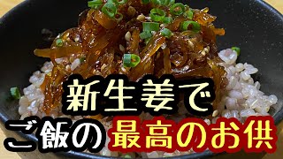 【常備菜】生姜の佃煮でアレンジ 3品の作り方【kattyanneru】