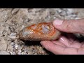 Treasure hunting in naturally formed caves, found agate, jade, red crystal