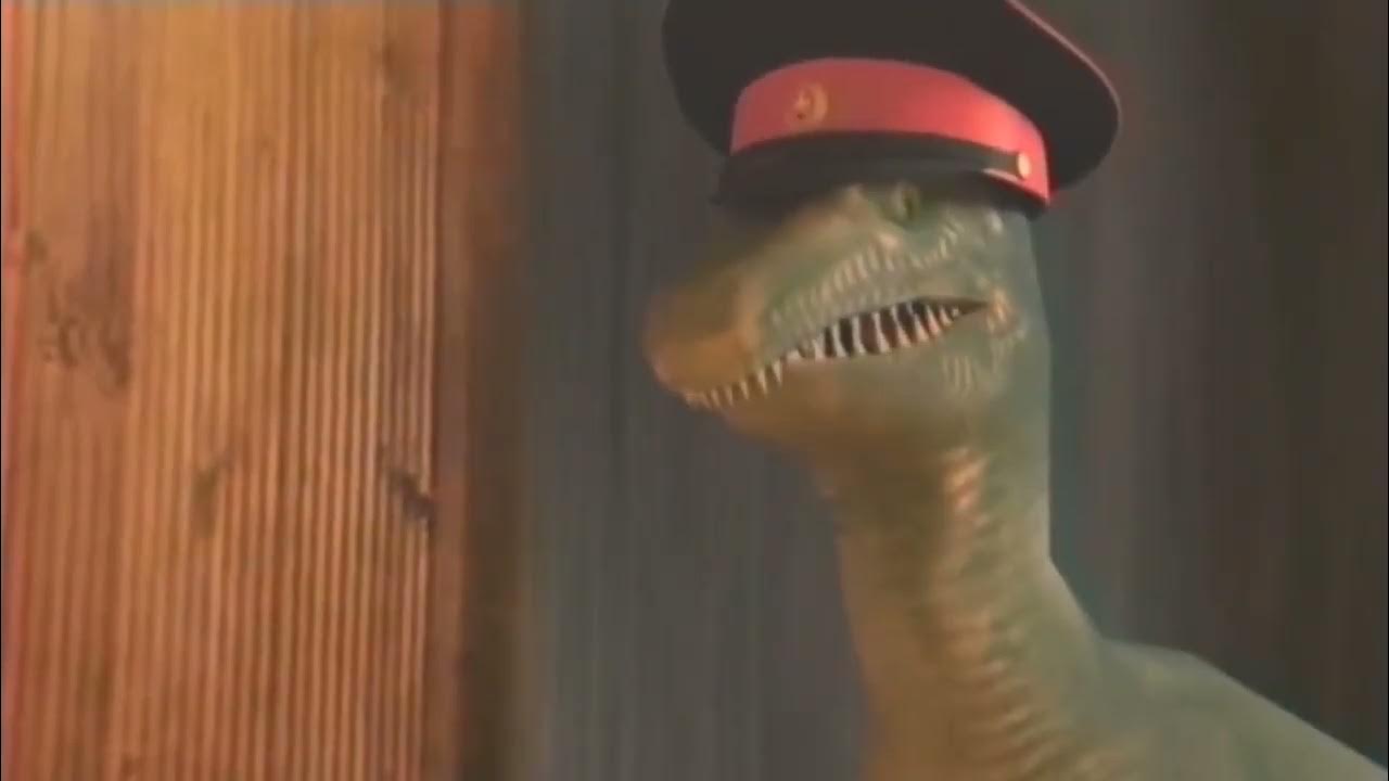 Девушка акула фифа. Акула андрюха. Акула андрюха. Акула андрюха. Акула андрюха.