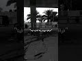 قولو للي باعنا 
