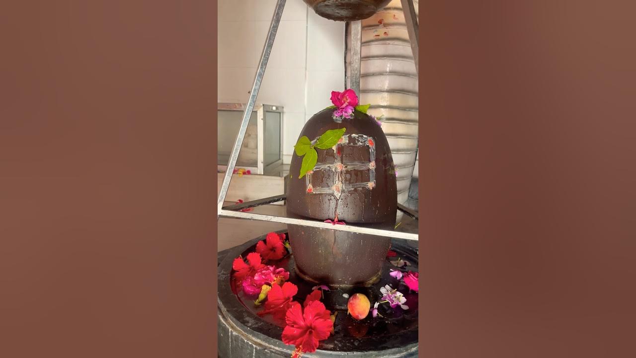 Shambhu Shankar Namah Shivay #mahadev #ganga #mahakal Shambhu Shankar Namah Shivay #mahadev #ganga #mahakal