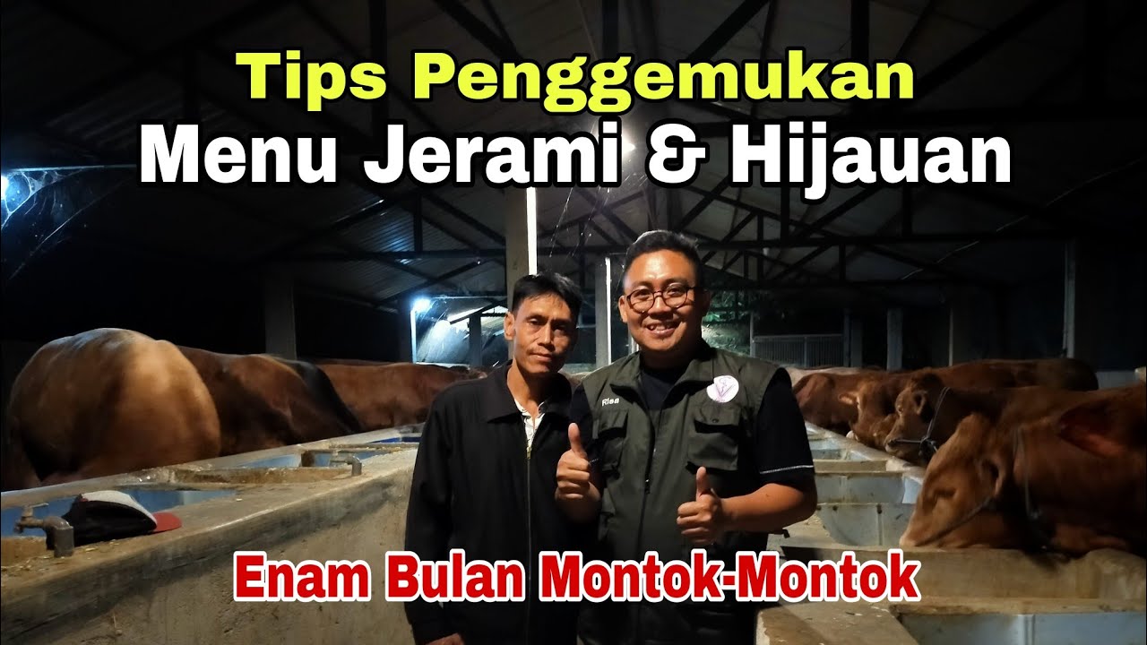 Советы по откорму: продолжайте использовать ферментированную солому (прямо из сарая)