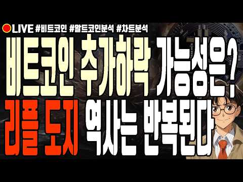 [실시간] 비트코인 추가하락 가능성은?! 리플 도지코인 역사는 반복된다 8월 11일 오전 비트코인 라이브 이더리움 솔라나 월드코인 매직에덴