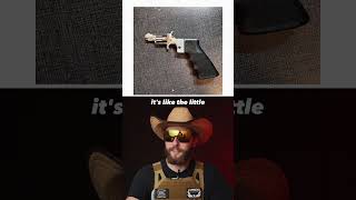 Someone Needs To Try Open Carrying This