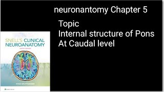 pons internal features at caudal level|internal structure of pons#neuroanatomy made easy#anatomy