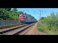 Электровоз ЭП1-153 с почтово-багажным поездом №989 следует по Транссибу солнечным летним утром.