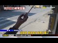 曳引車疲勞駕駛！逆向衝撞民宅掃盆栽.看板