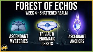 Shattered Realm: Forest of Echoes - Ascendant, Trivial, Enigmatic Mysteries, Anchors - Destiny 2