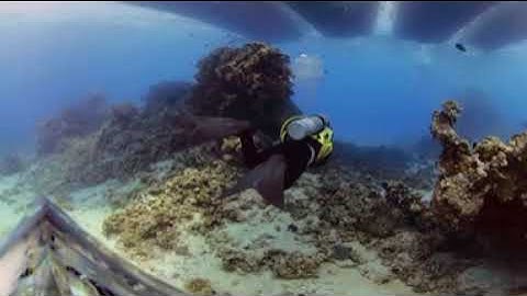 Bob Willis Red Sea 360 Example