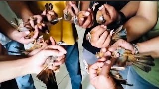 🔴 UPDATE STOK  ! SUDAH MURAH MASIH BISA DINEGO MASIH DIJALUR PROMO