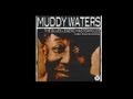Muddy Waters Little Geneva mp3