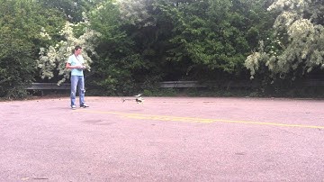 T-Rex 450 Pro - Training of Full Lateral View Hovering