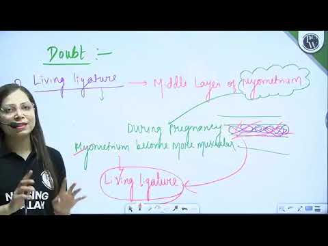 1134 Female Reproductive System 05 Anatomy and Physiology Part 5