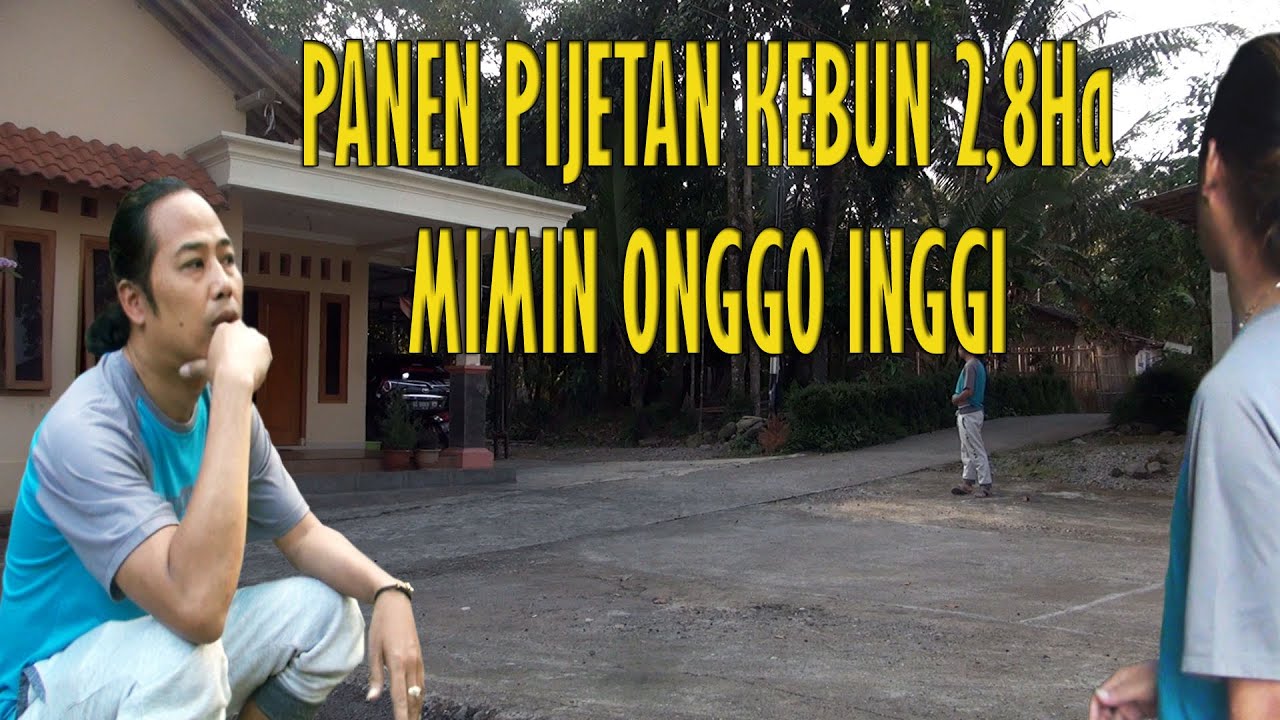 Melihat isi Kebun 2,8 Hektare Milik Mimin Onggo Inggi
