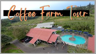 Kona Coffee Farm Tour Big Island - Heavenly Hawaiian