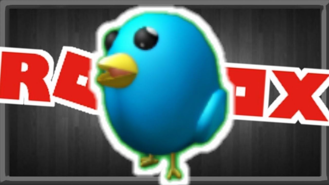 Roblox - วิธีเอาไอเท็มฟรี Twitter Bird Shoulder - YouTube