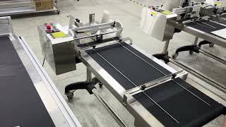 high speed paging machine for pouches #pagingmachine #labeler #yqmachinery