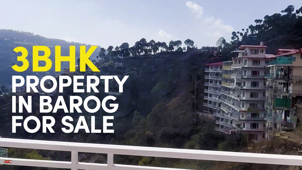 3 BHK Property in Barog Solan for Sale 3BHK Flats for Sale in Barog