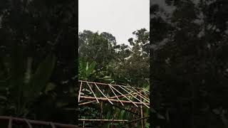 Alhamdulillah hujan berkah 🙏🤲🏻