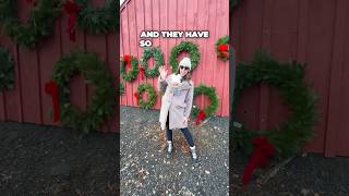 Where to cut down a Christmas tree near NYC! #MapleRowFarm