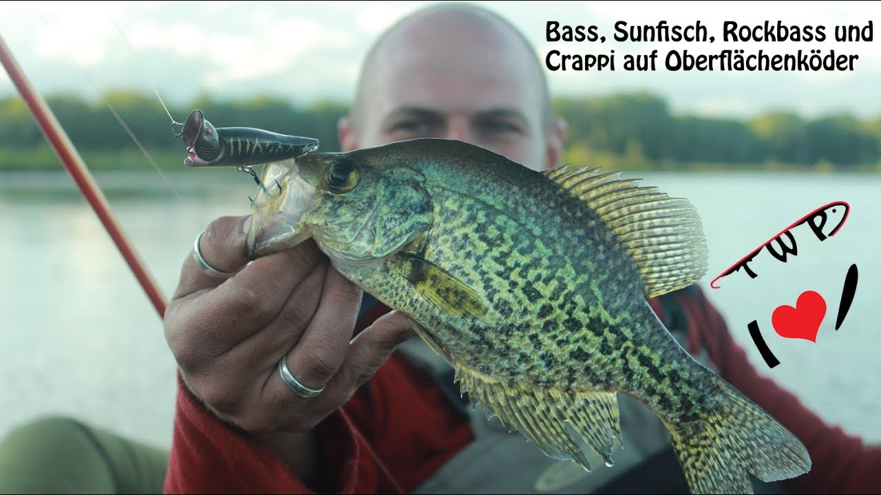 Bass, Sunfisch, Rockbass und Crappi auf Oberflächenköder – Folge 16