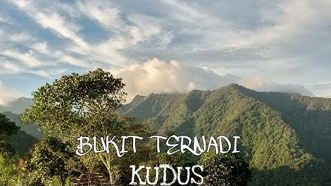 wana Wisata Ternadi Kudus Cinematic |Gardu pandang lereng Muria Kudus