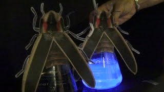 Iron Science Teacher 2015 | Lightbulbs | Exploratorium
